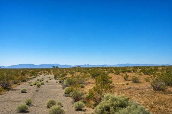 California City, CA Land for Sale: 0.21 Acres with Owner Financing Available