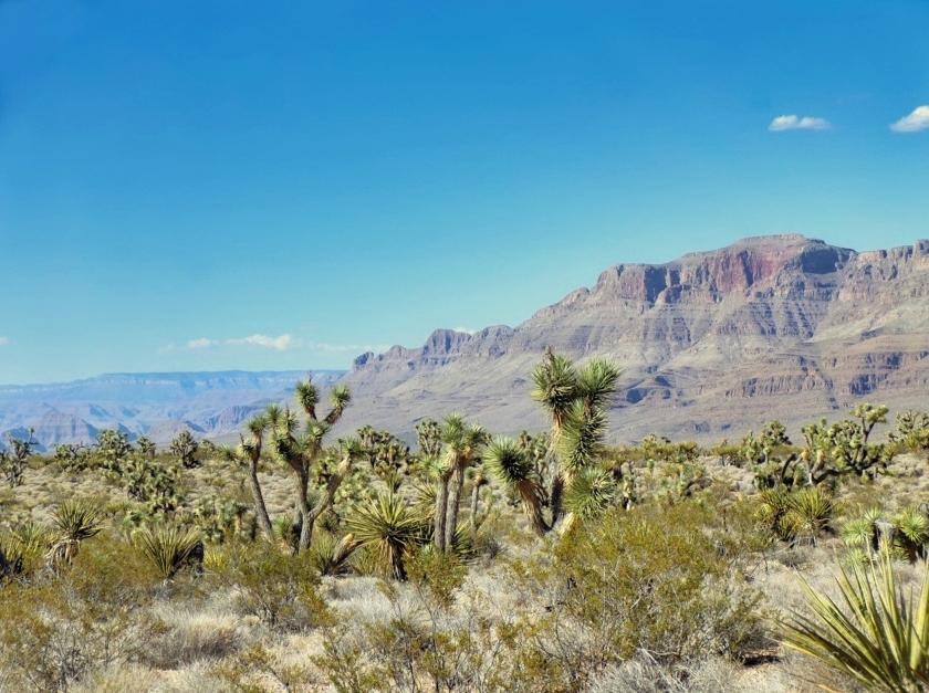 8.75 Acres for Sale in Meadview, Arizona