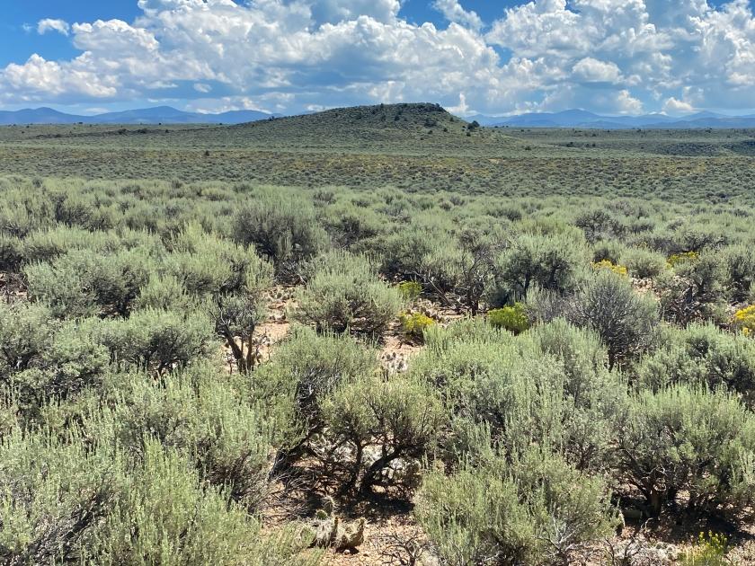 4.45 Acres for Sale in San Luis, Colorado