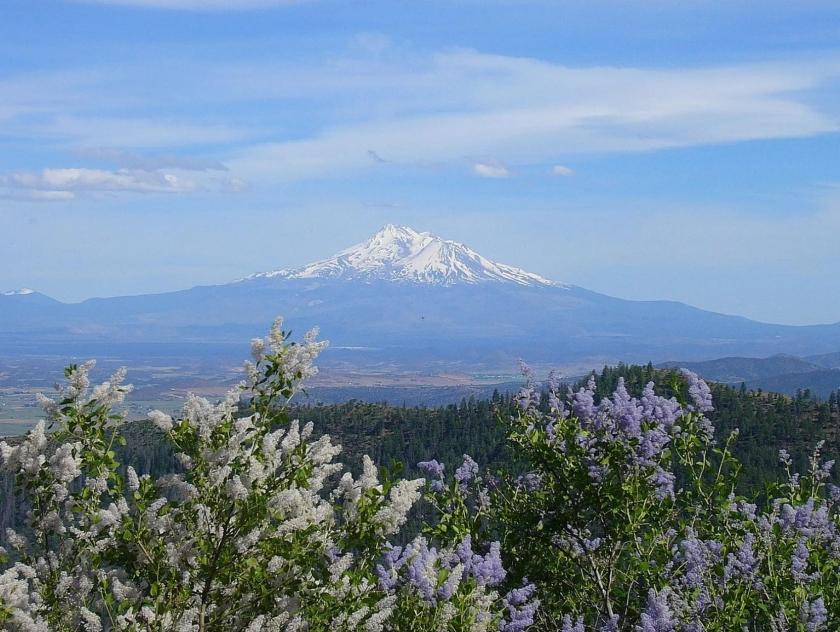 127-Acre California Mountain Retreat - Only $65K | Public Land Access & Ridge-Top Bench | Trailer Included