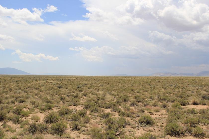 5.00 Acres for Sale in Jaroso, Colorado