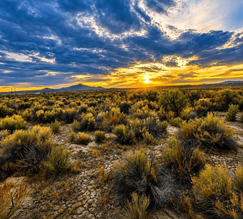 1.03 Acres for Sale in Elko, Nevada