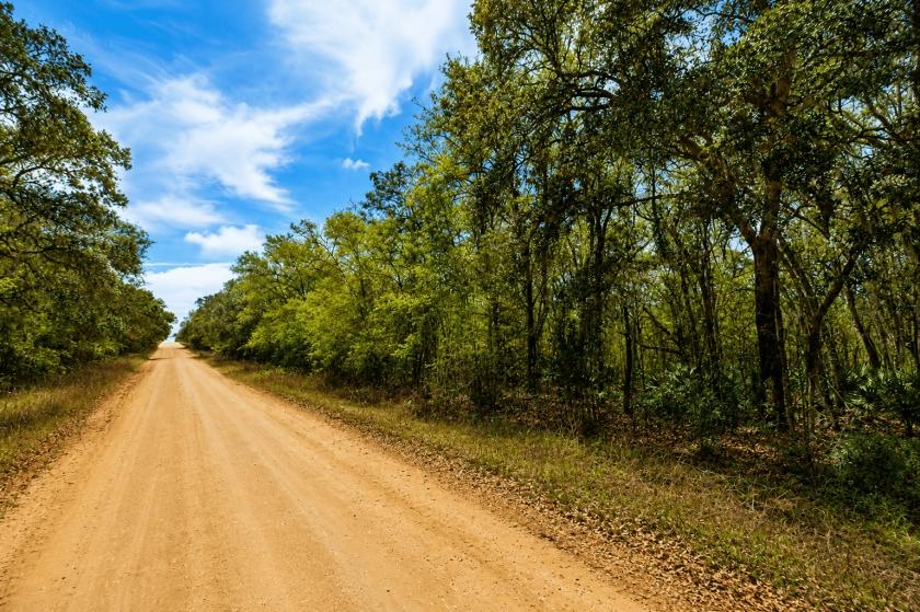 0.22 Acres for Sale in Interlachen, Florida
