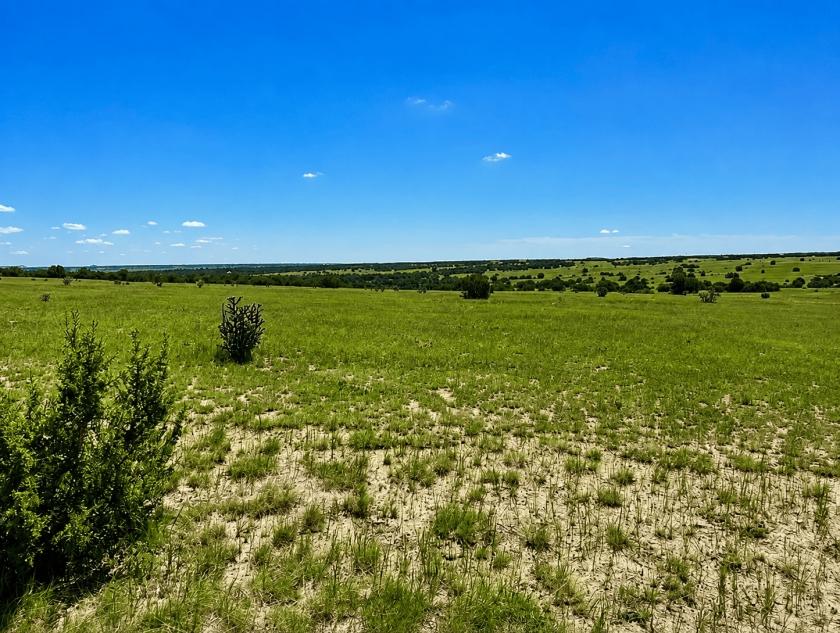 0.23 Acres for Sale in Rye, Colorado