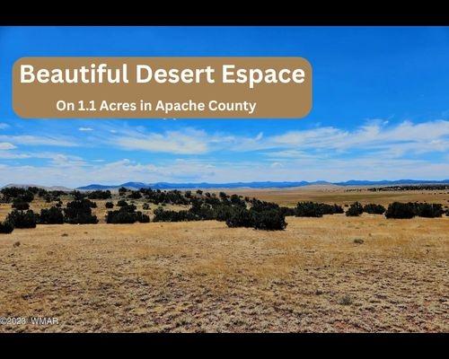 1.1 Acres for Sale in Concho, Arizona