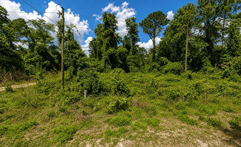 1.03 Acres for Sale in Georgetown, Florida
