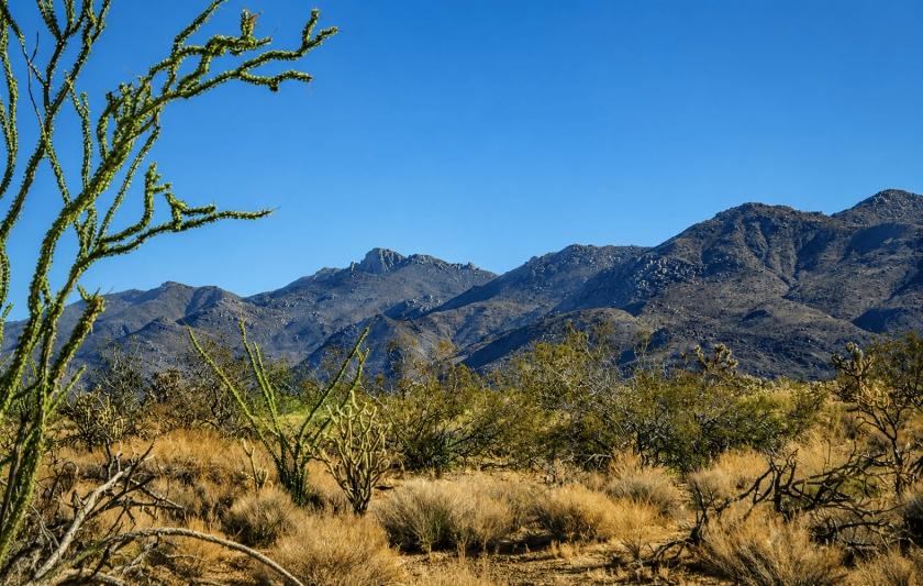 1.11 Acres for Sale in Yucca, Arizona