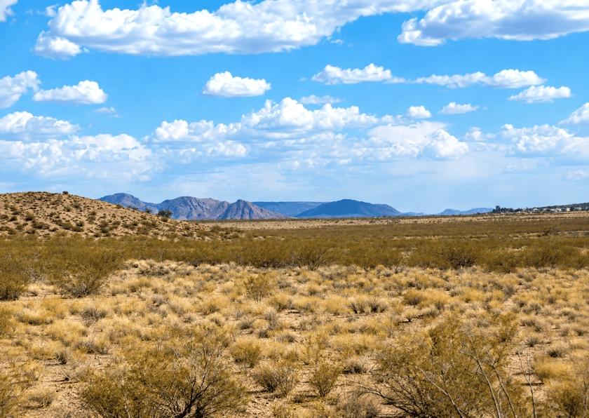 0.20 Acres for Sale in Kingman, Arizona