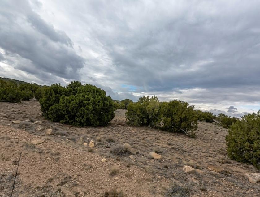 1.16 Acres for Sale in Show Low, Arizona