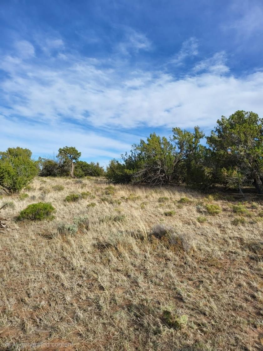 10 Acres for Sale in Nahata Dziil, Arizona