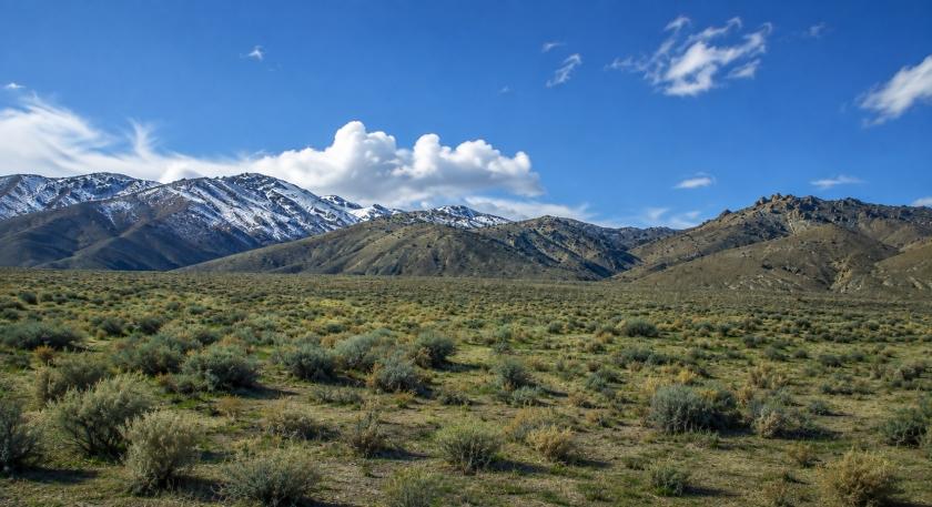 43.18 Acres for Sale in Lovelock (Owner Finance $297.00 a month), Nevada