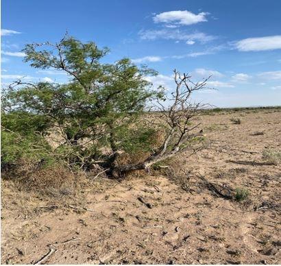 2.59 Acres for Sale in Deming, New Mexico