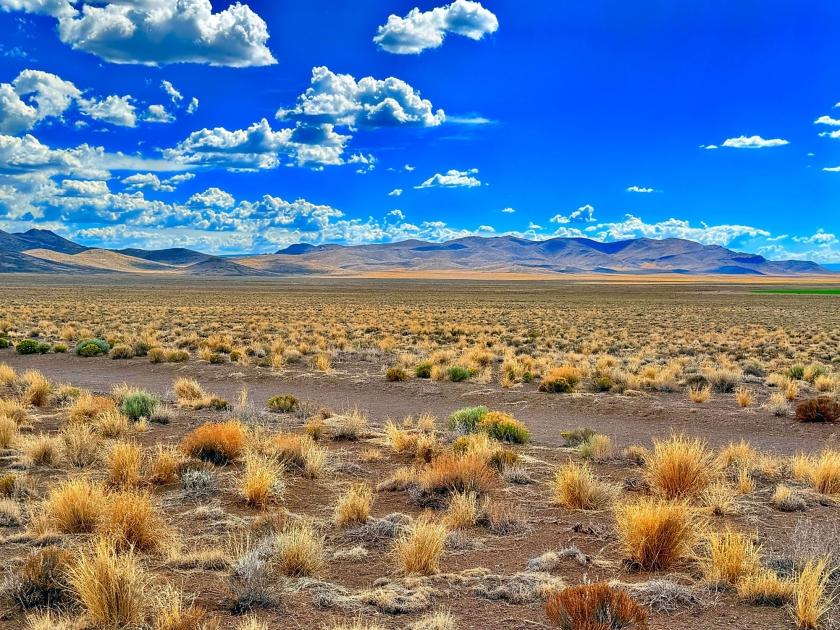 5 Acres for Sale in San Luis, Colorado