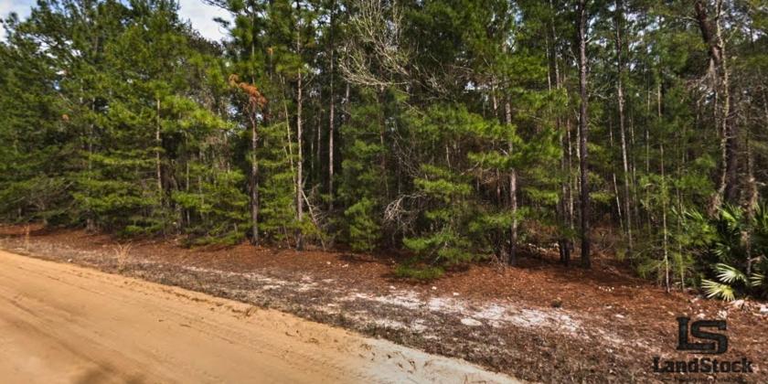 0.22 Acres for Sale in Interlachen, Florida