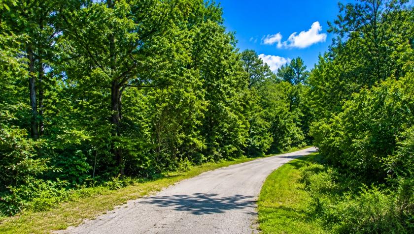 0.43 Acres for Sale in Cherokee Village (Corner Lot), Arkansas