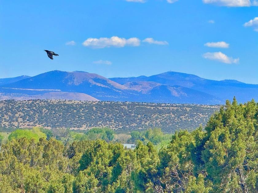 1.04 Acres for Sale in Concho, Arizona