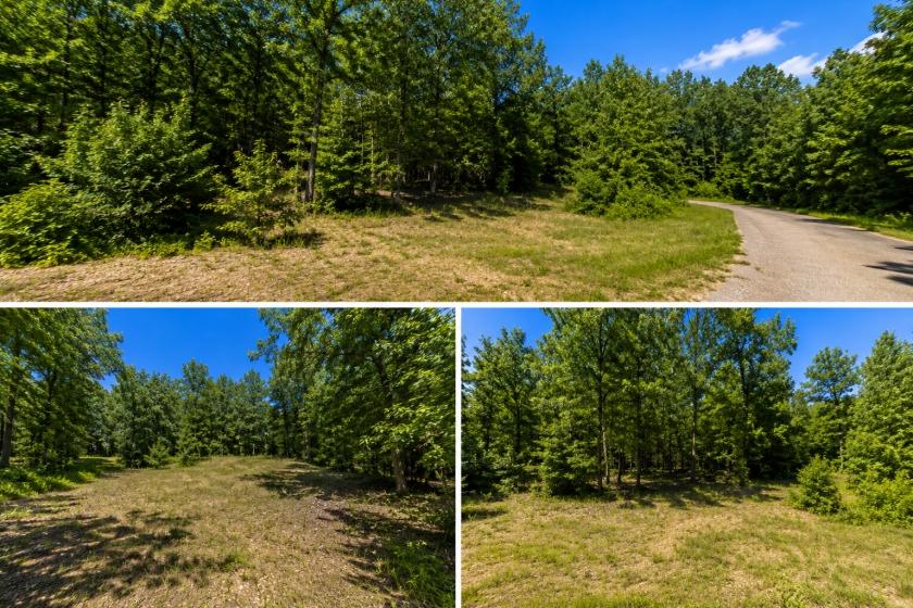 0.3 Acres for Sale in Lake Chanute, Arkansas