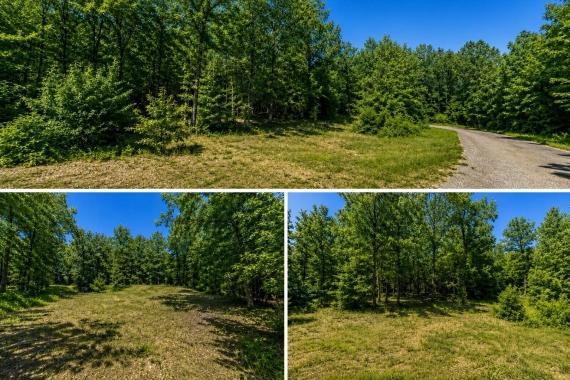 Lake Chanute, Arkansas Land for Sale: 0.3 Acres on Oneonta Trail for $944