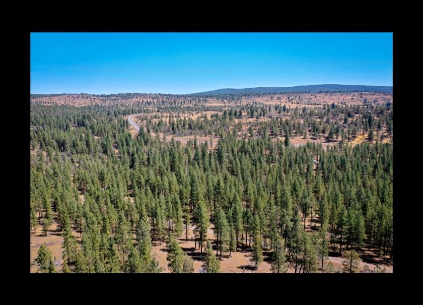 2.37 Acres for Sale in Bonanza, Oregon