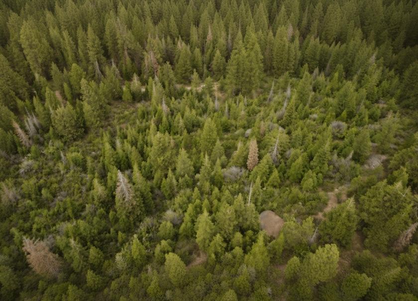 2.28 Acres for Sale in Bonanza, Oregon
