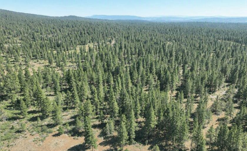 4.65 Acres for Sale in Bonanza, Oregon
