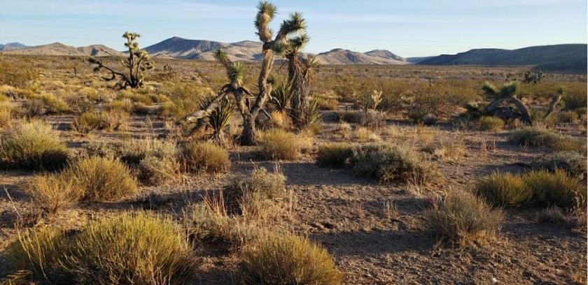 1.07 Acres for Sale in Willow Beach, Arizona