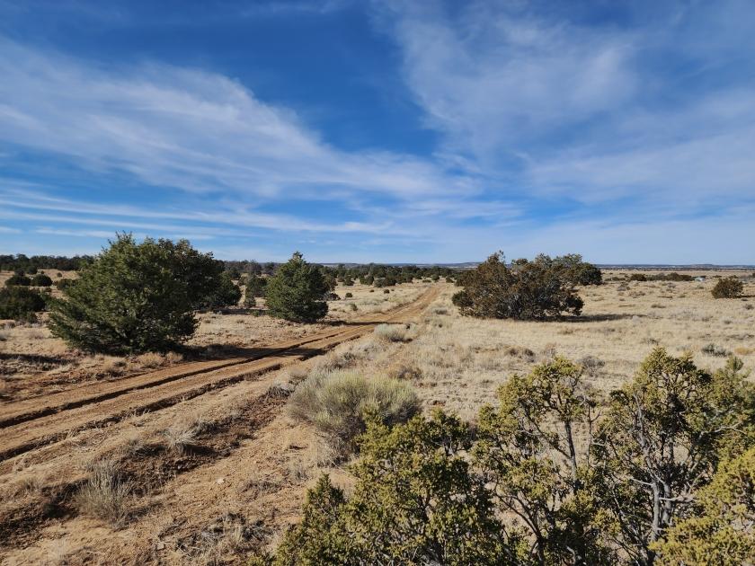 5.34 Acres for Sale in Pinehill, New Mexico