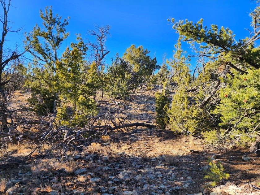 5 Acres for Sale in Ramah, New Mexico