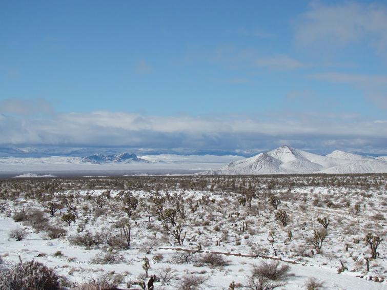 1.03 Acres for Sale in Willow Beach, Arizona