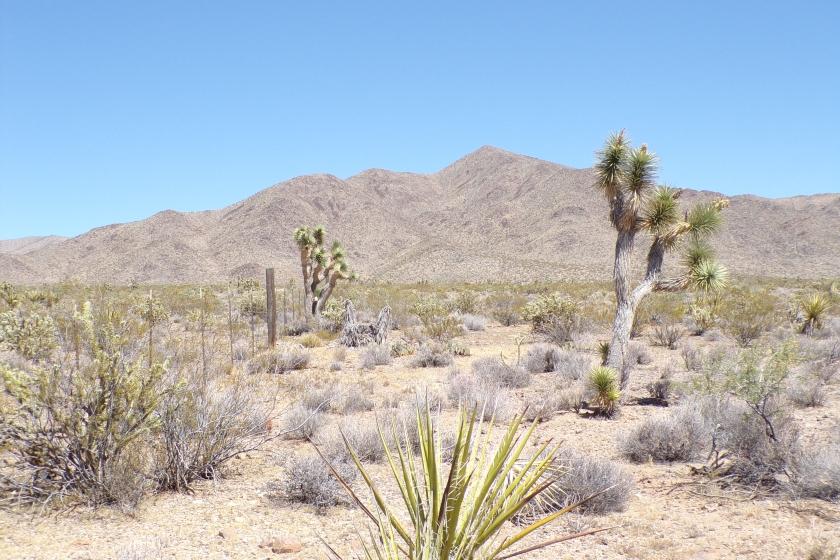 1 Acres for Sale in Meadview, Arizona
