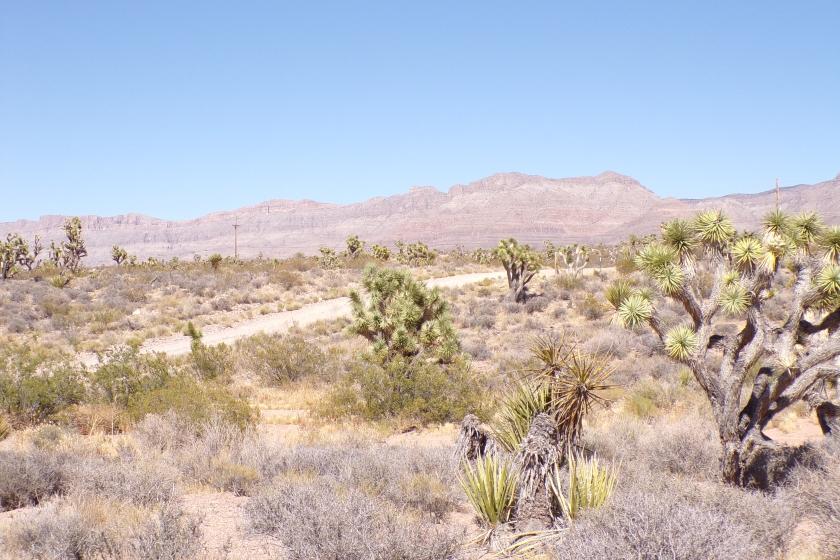 1.08 Acres for Sale in Meadview, Arizona
