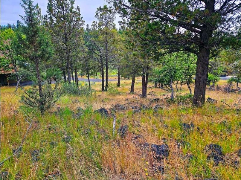0.36 Acres for Sale in Klamath Falls, Oregon