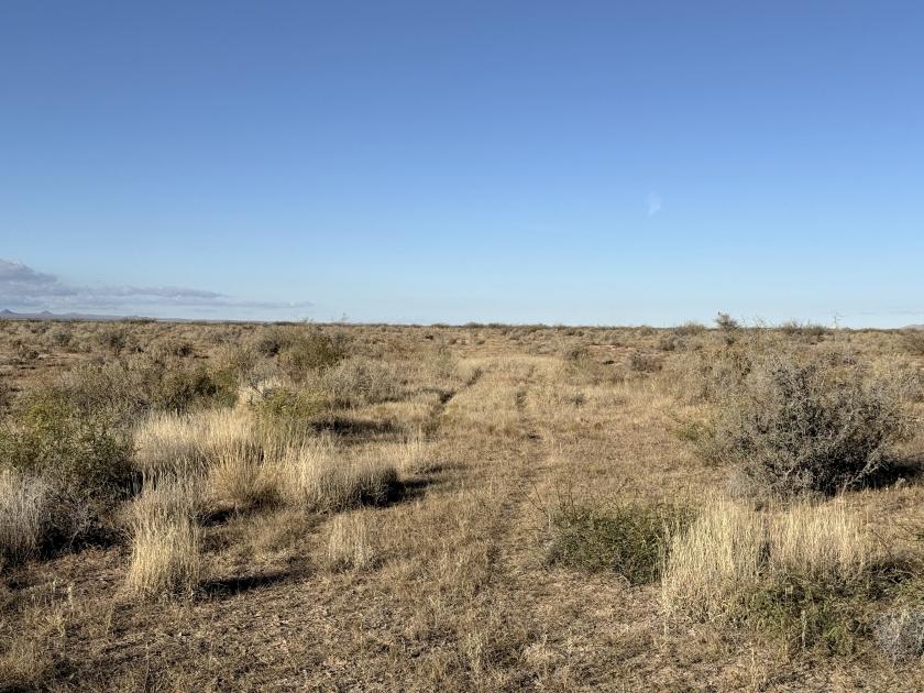 1.50 Acres for Sale in Sunshine, New Mexico