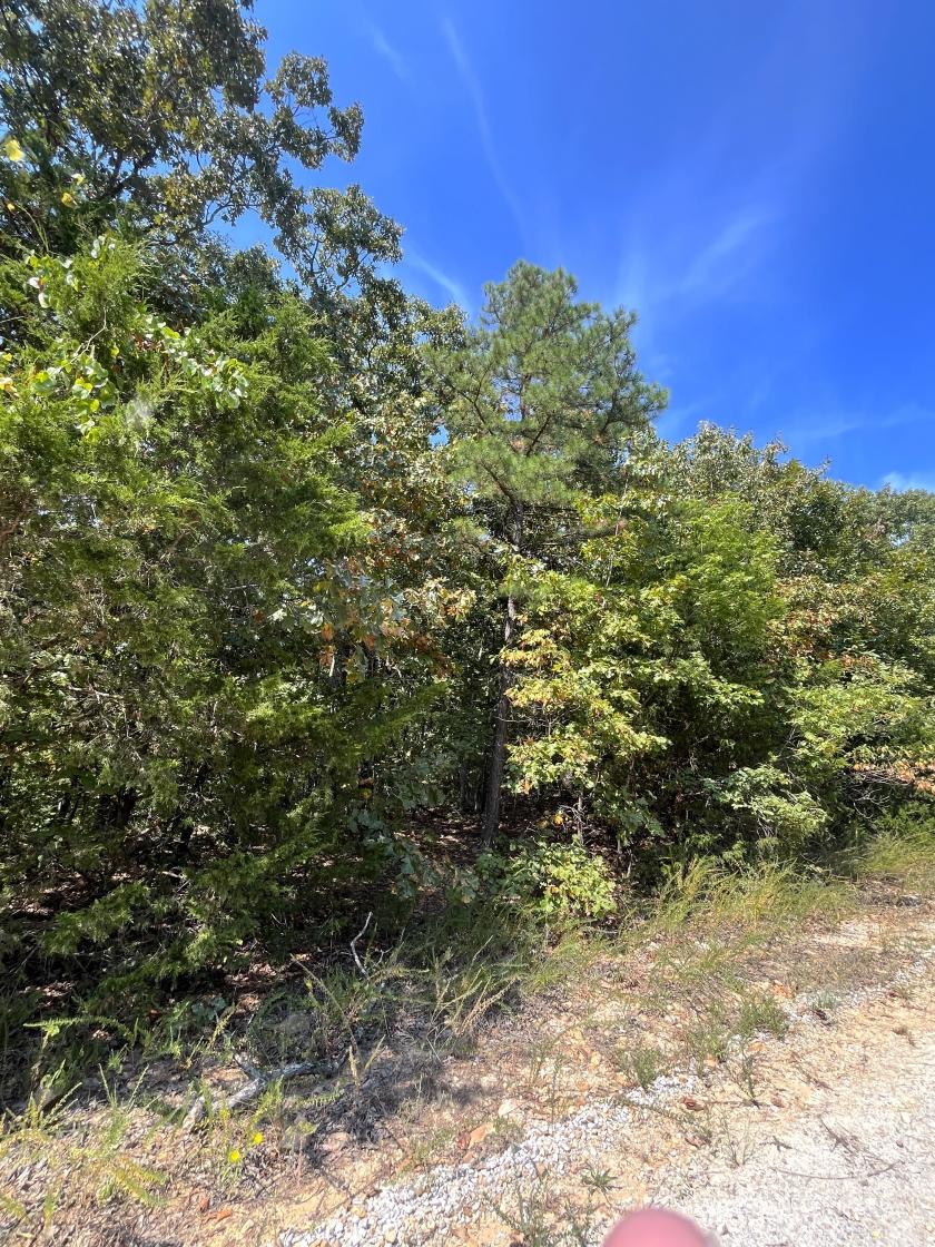 0.31 Acres for Sale in Horseshoe Bend, Arkansas