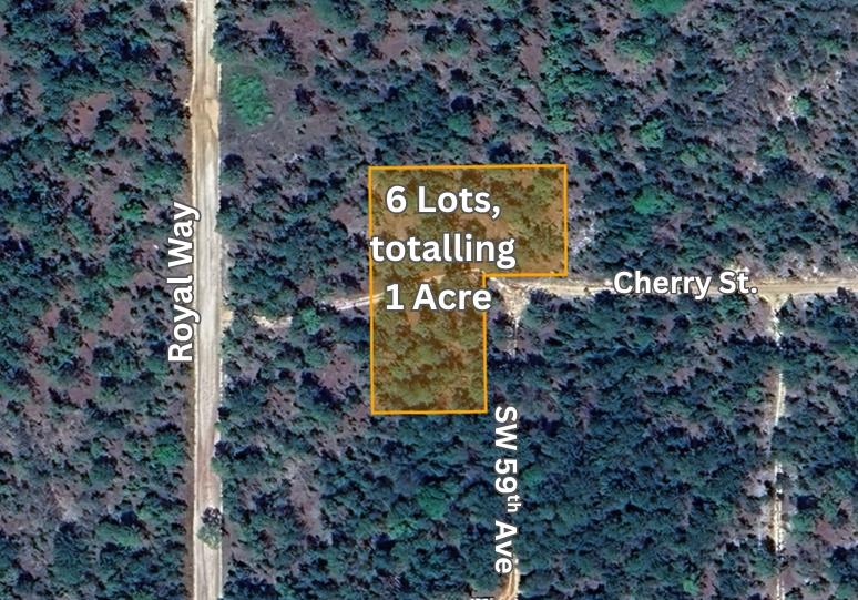 1 Acres for Sale in Interlachen, Florida