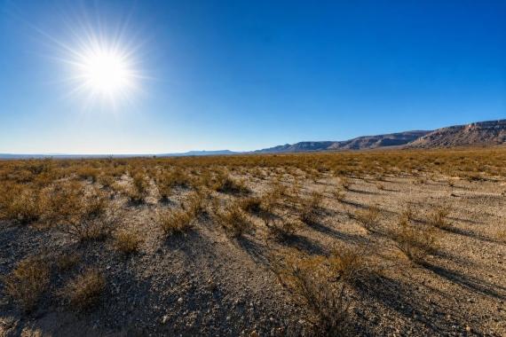 Scotts Crossing, TX Land for Sale: 20 Acres with Dirt Road