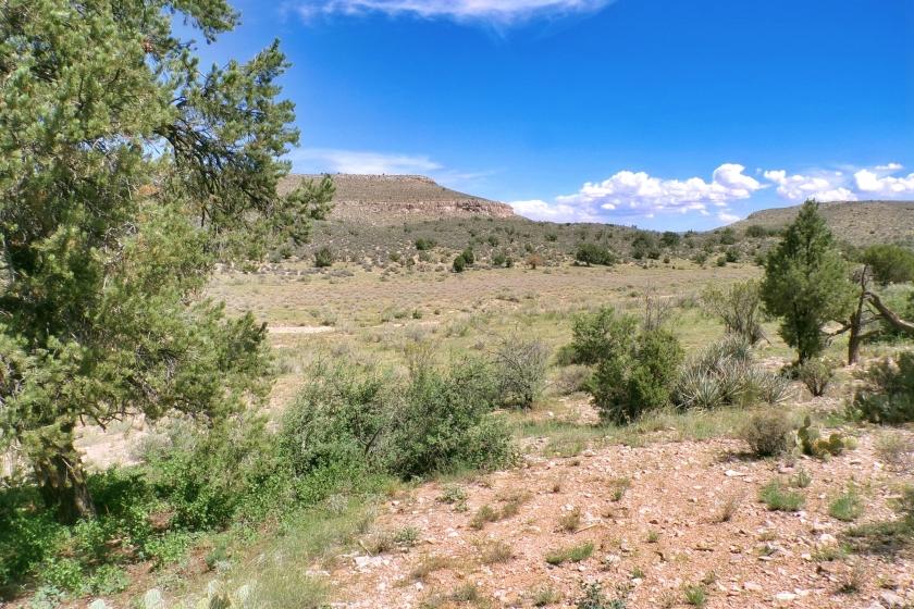 1.25 Acres for Sale in Grand Canyon West, Arizona