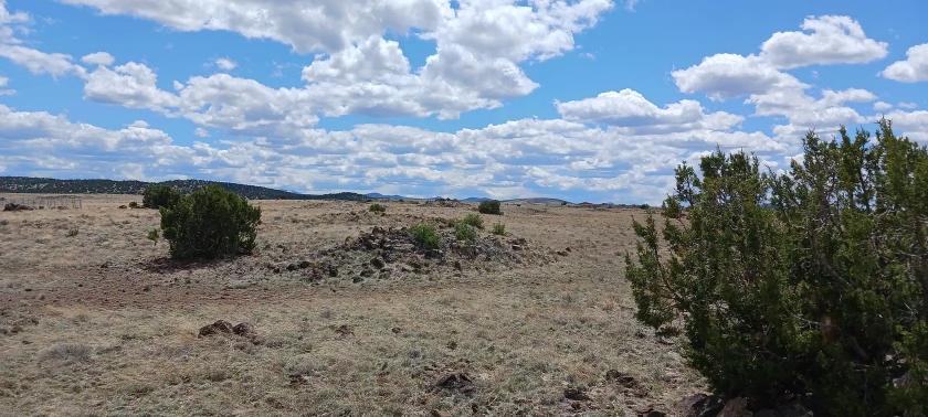 1 Acres for Sale in Concho, Arizona