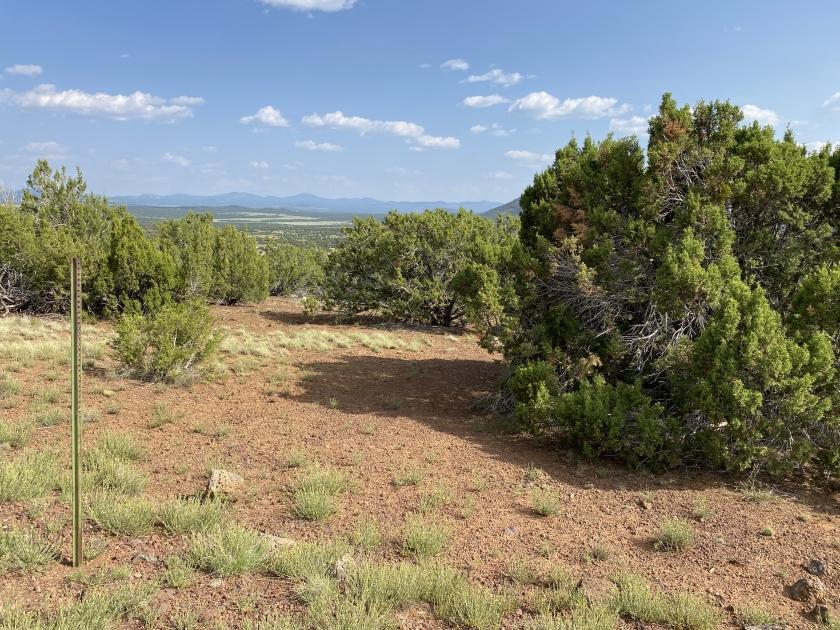 1.13 Acres for Sale in Concho, Arizona