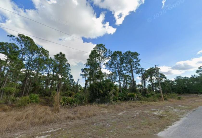 0.24 Acres for Sale in Lehigh Acres, Florida