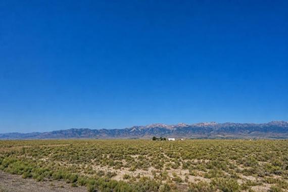 Wells, NV Land for Sale: 640 Acres with Dirt Road