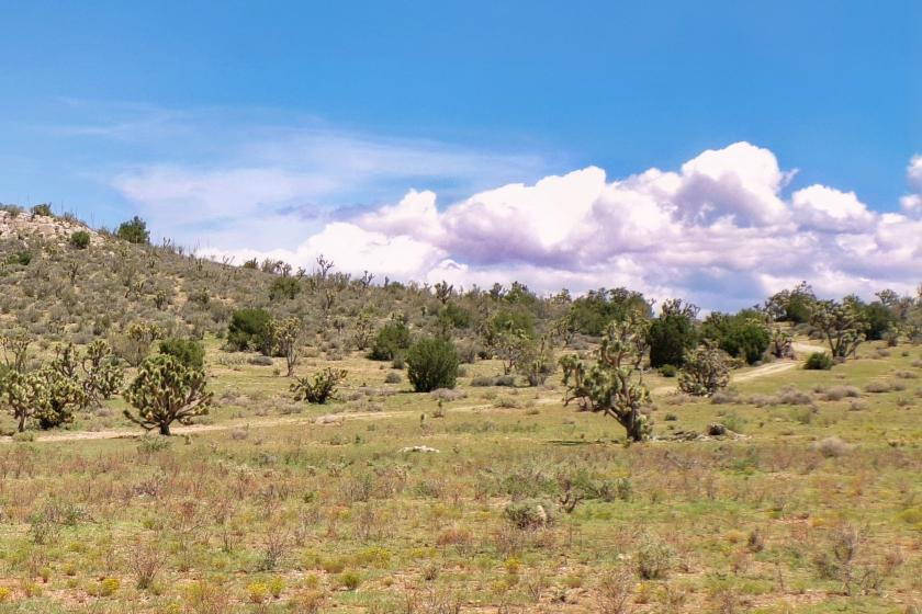 1.25 Acres for Sale in Meadview, Arizona
