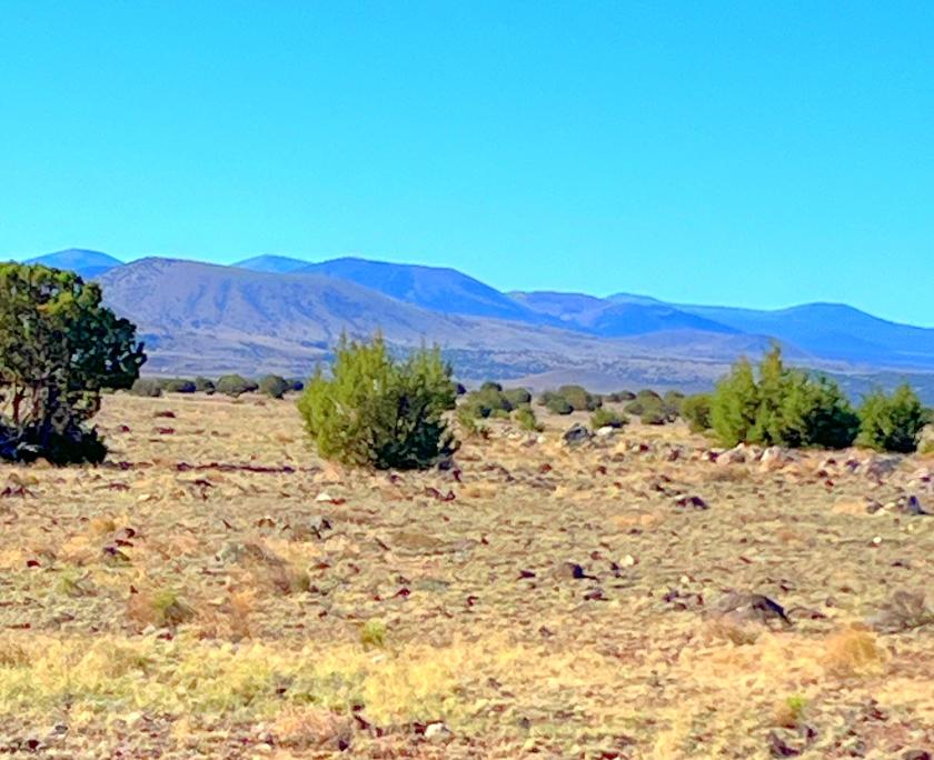 1.04 Acres for Sale in Concho, Arizona