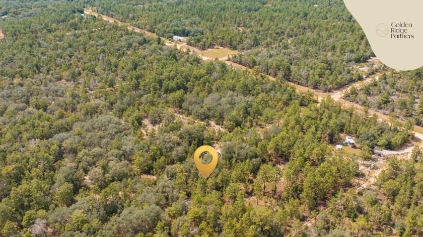 0.23 Acres for Sale in Interlachen, Florida