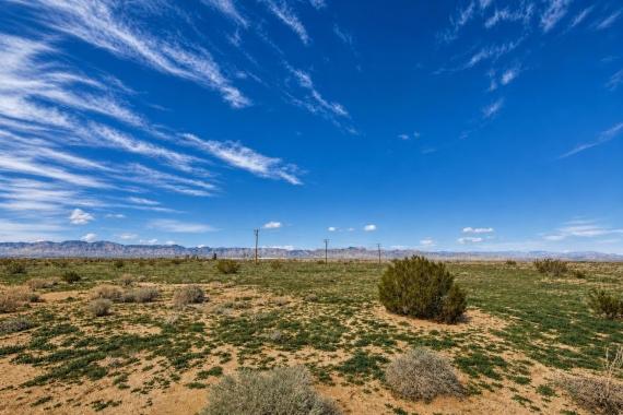 California City, CA Land for Sale: 0.257 Acres with Dirt Road
