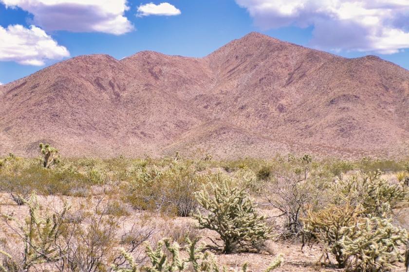 1 Acres for Sale in Meadview, Arizona