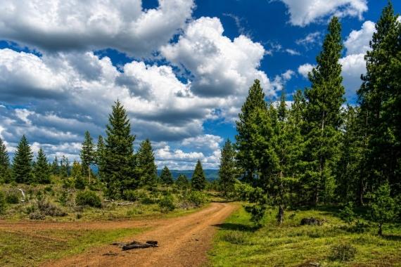 Keno, OR Land for Sale: 120 Acres with Paved Access & City Utilities