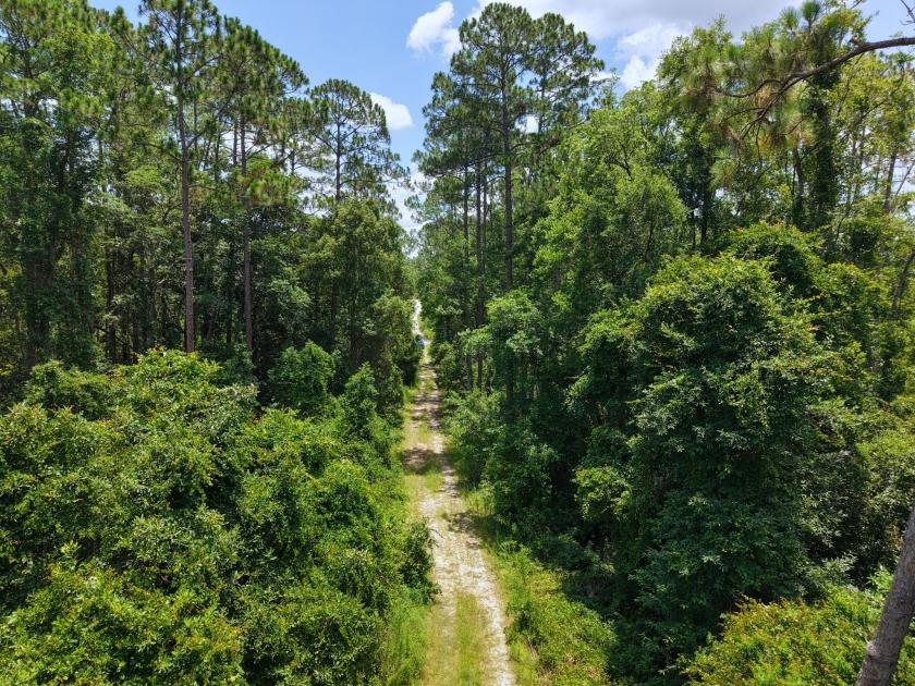 0.23 Acres for Sale in Satsuma, Florida