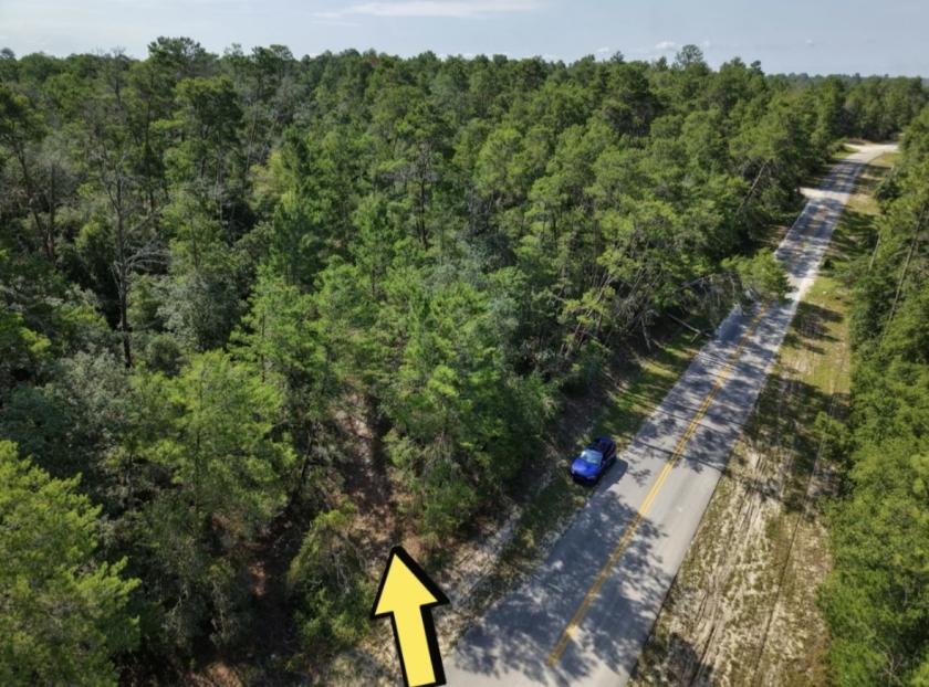0.21 Acres for Sale in Satsuma, Florida