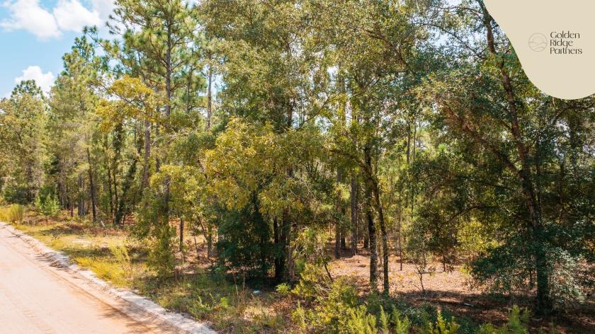 0.9 Acres for Sale in Interlachen, Florida